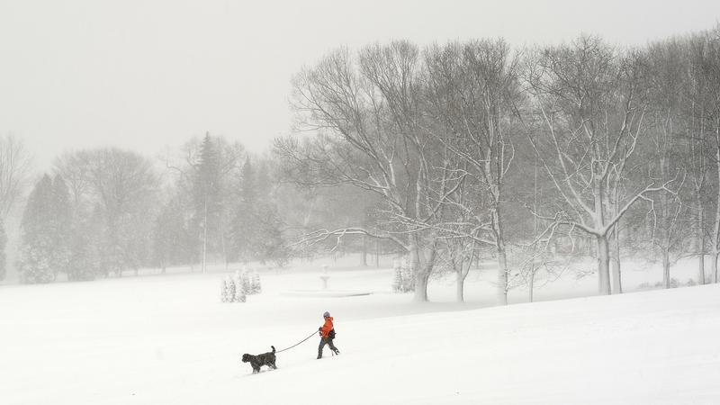 Parue dans : Bois-de-Coulonge