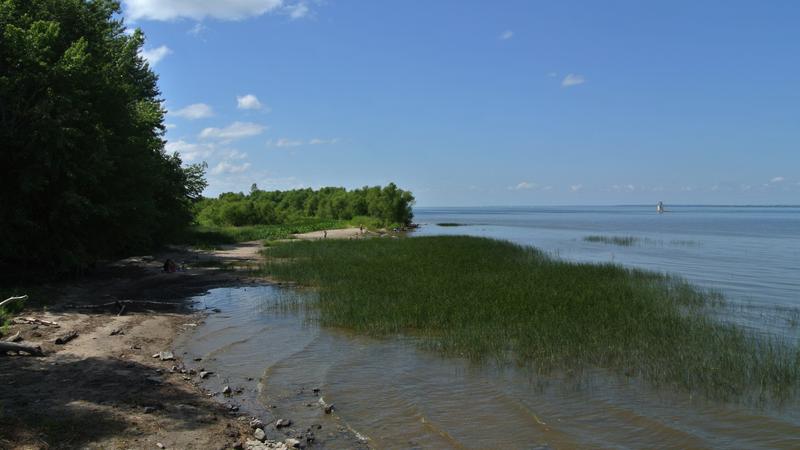 Parue dans : Parc Écomaritime de l'Anse-du-Port