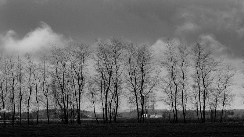 Parue dans : Paysage en noir et blanc
