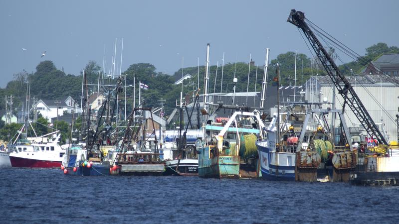 Parue dans : De Digby à Halifax