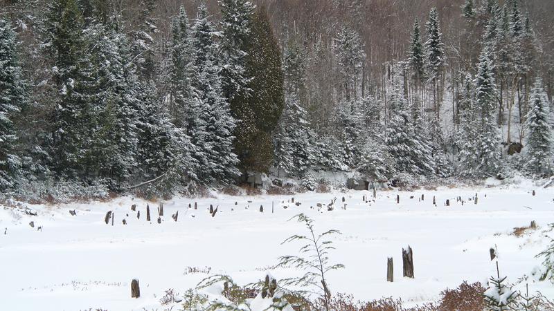 Parue dans : Parc naturel régional de Portneuf