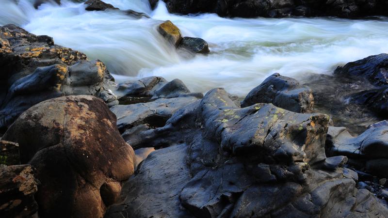 Parue dans : Parc national de la Gaspésie