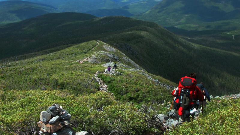 Parue dans : Randonnée du mont Jacques-Cartier au mont Albert