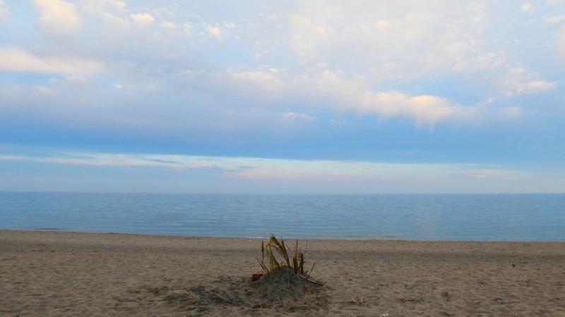 Parue dans : Promenade Maritime 1