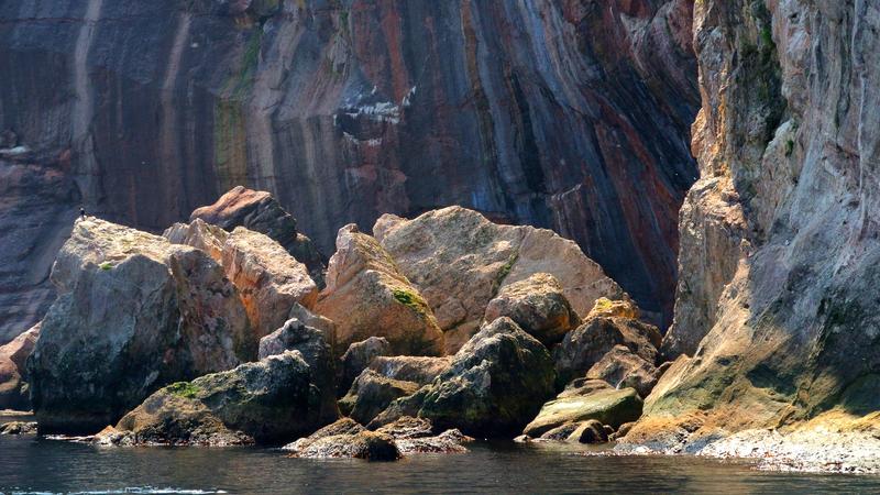 Parue dans : Le tour de l'île Bonaventure
