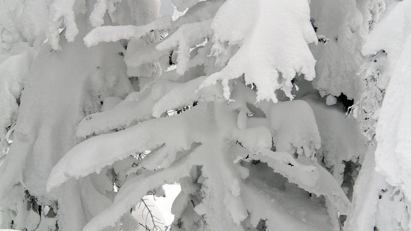 Parue dans : Le fabuleux royaume des Monts-Valin