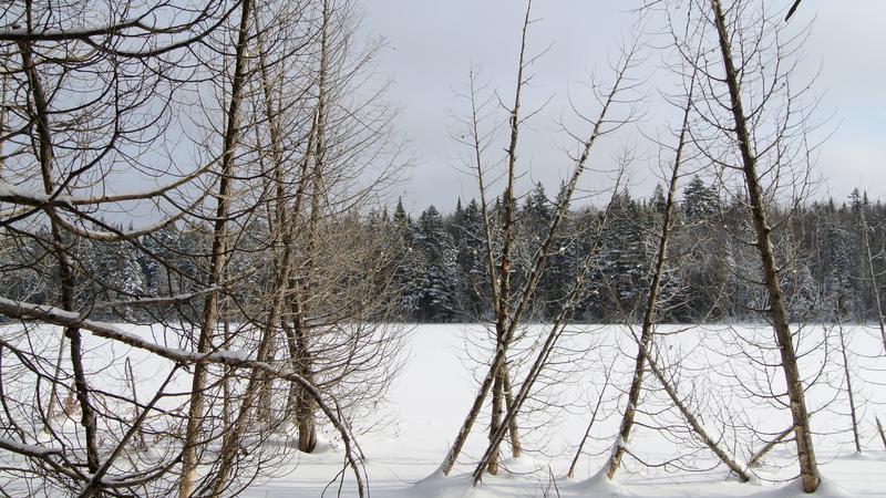 Parue dans : Parc naturel régional de Portneuf