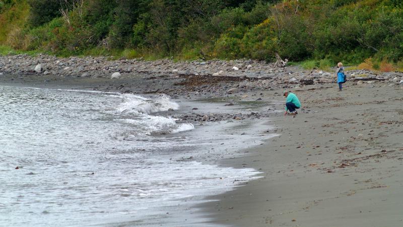 Parue dans : L'île Grand Manan