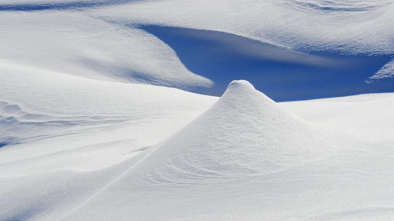 Parue dans : Nature hivernale