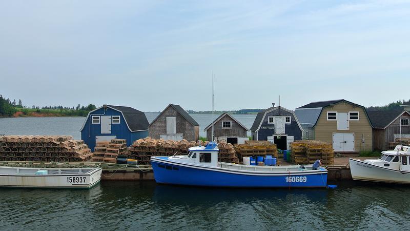 Parue dans : L'Île-du-Prince-Édouard