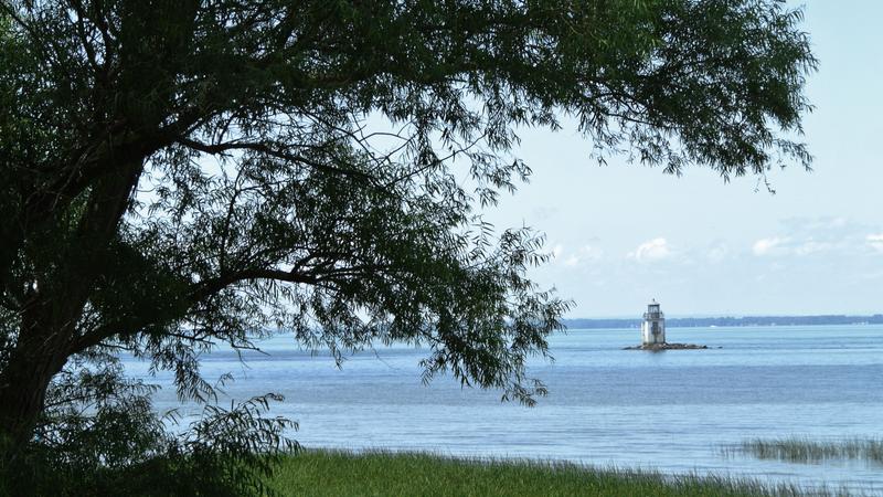 Parue dans : Parc Écomaritime de l'Anse-du-Port