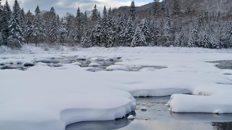 Parue dans : Parc national de la Jacques-Cartier