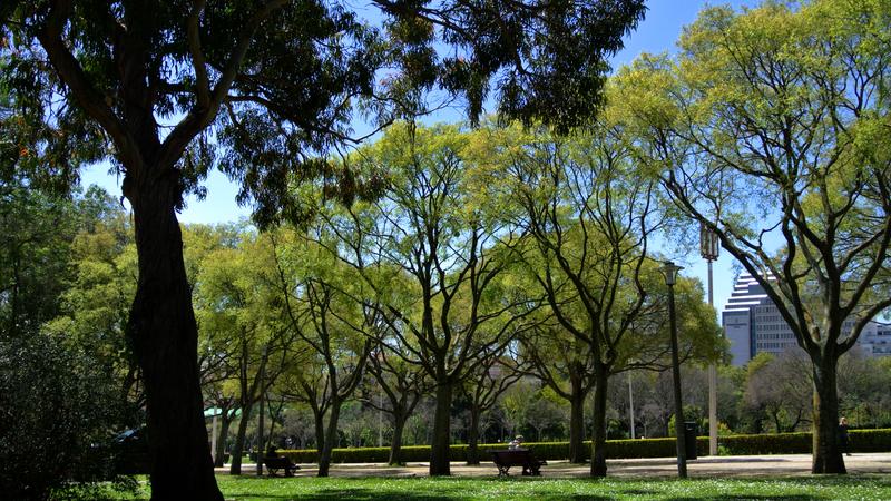Parue dans : Lisbonne : jardins, parcs et églises