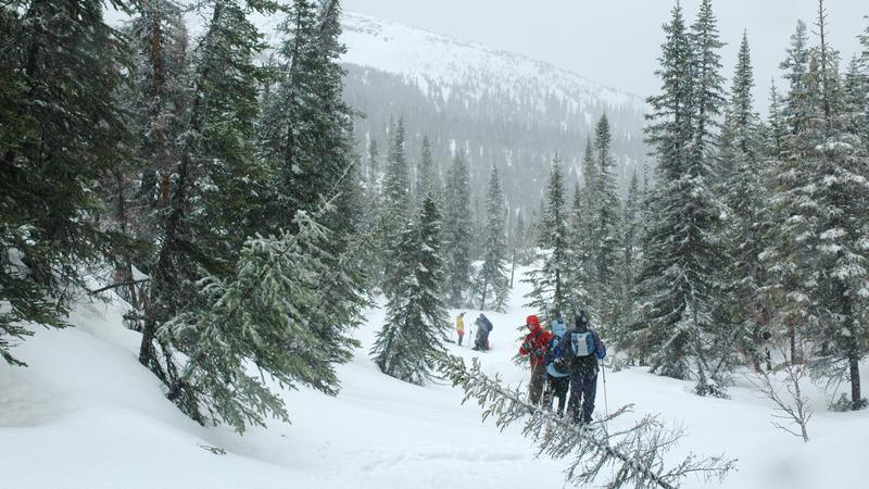 Parue dans : Monts Uapishka (Groulx)