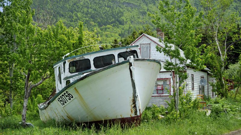 Parue dans : Iles du Cap Breton (Cabot Trail)