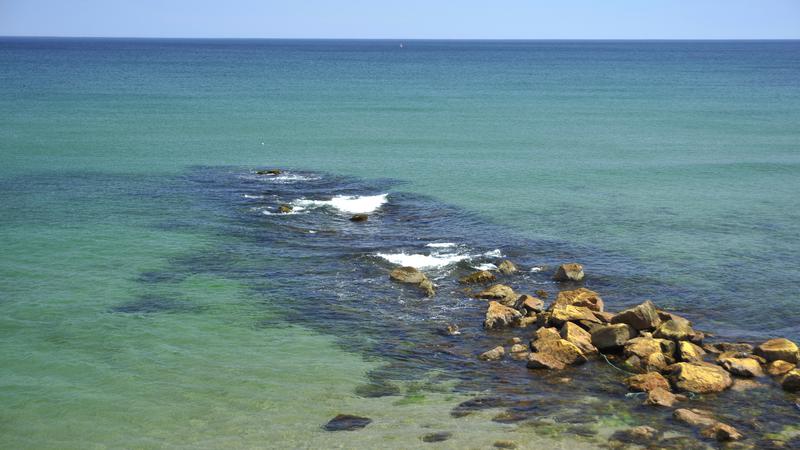 Parue dans : Iles du Cap Breton (Cabot Trail)