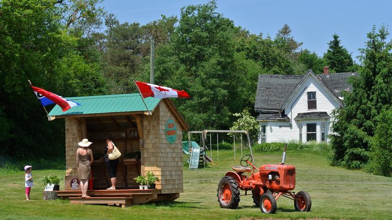 Parue dans : L'Île-du-Prince-Édouard