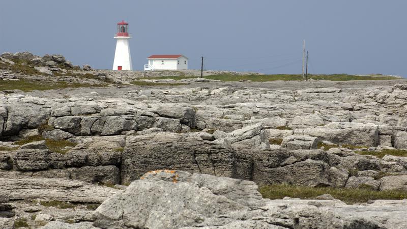 Parue dans : Terre Neuve deuxième voyage