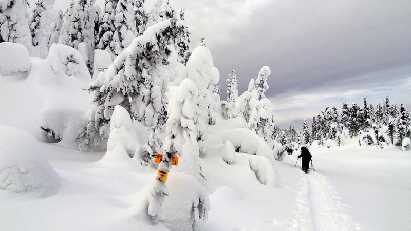 Parue dans : Le fabuleux royaume des Monts-Valin