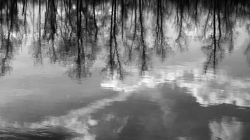 Parue dans : Paysage en noir et blanc