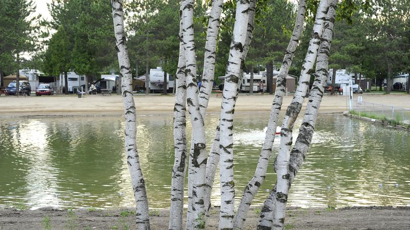 Parue dans : Parc linéaire Le Grand Tronc