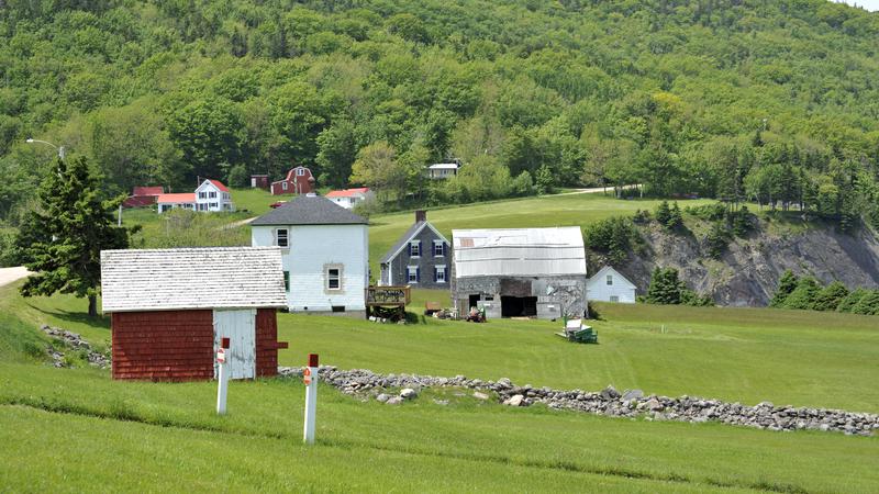 Parue dans : Iles du Cap Breton (Cabot Trail)