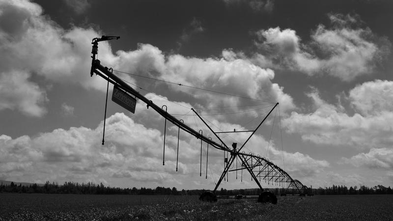 Parue dans : Paysage en noir et blanc