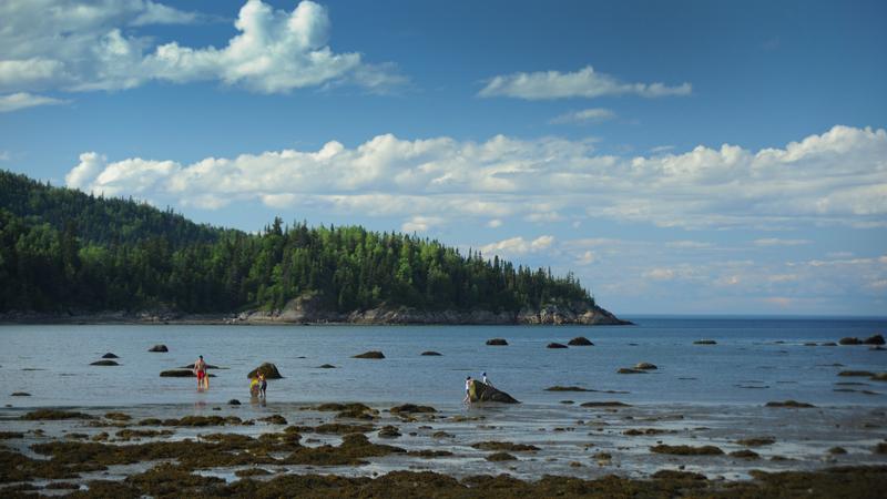 Parue dans : Parc national du Bic