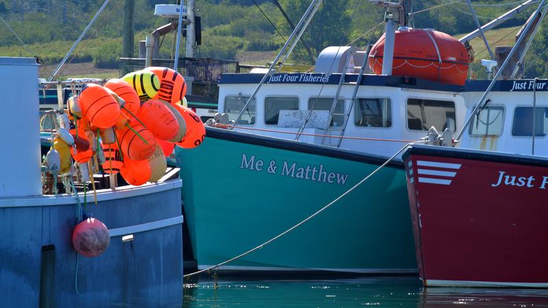 Parue dans : L'île Grand Manan