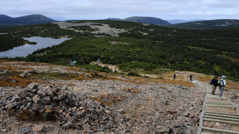 Parue dans : Mont Jacques-Cartier