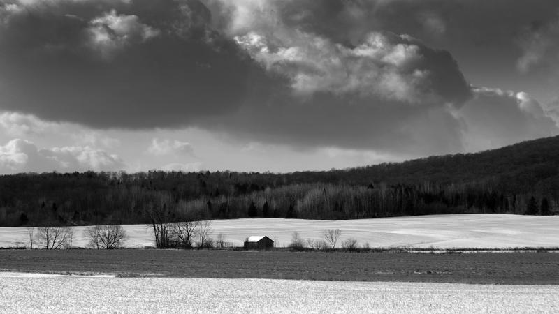 Parue dans : Paysage en noir et blanc