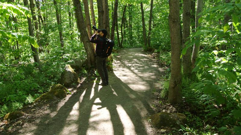 Parue dans : Balades en quatre saisons