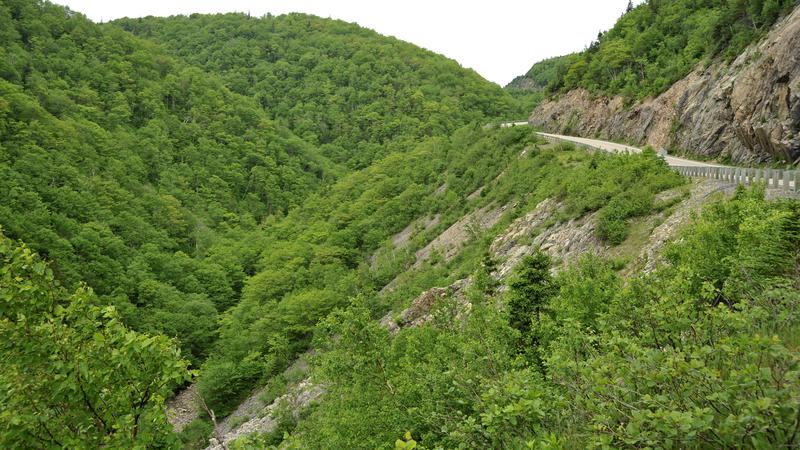 Parue dans : Cabot Trail (Côté Golfe St-Laurent)