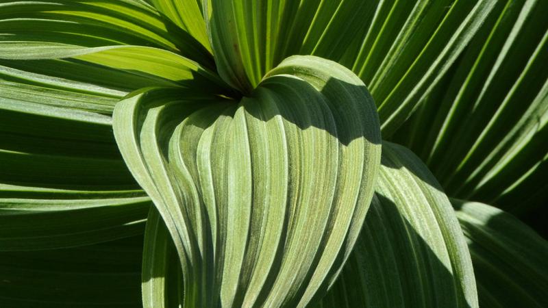 Parue dans : Balades en quatre saisons