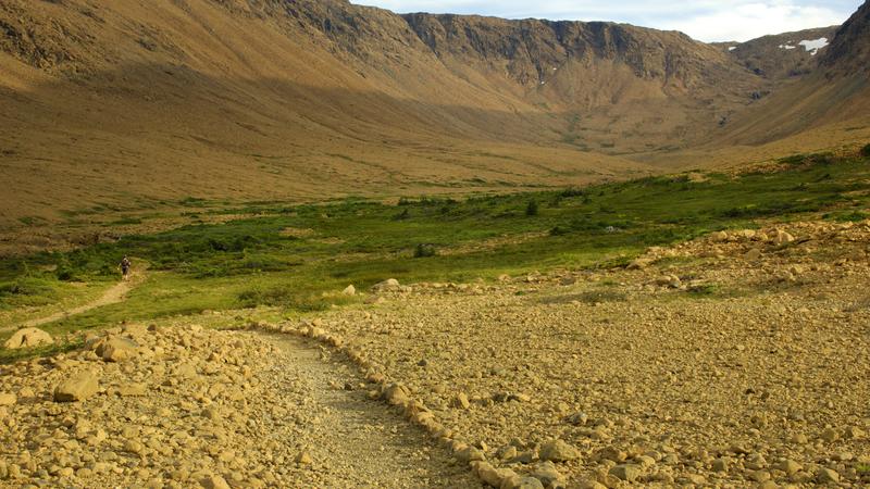 Parue dans : Terre Neuve deuxième voyage