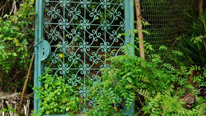 Parue dans : Un jardin fleuri
