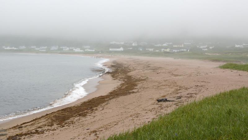 Parue dans : La côte du Labrador