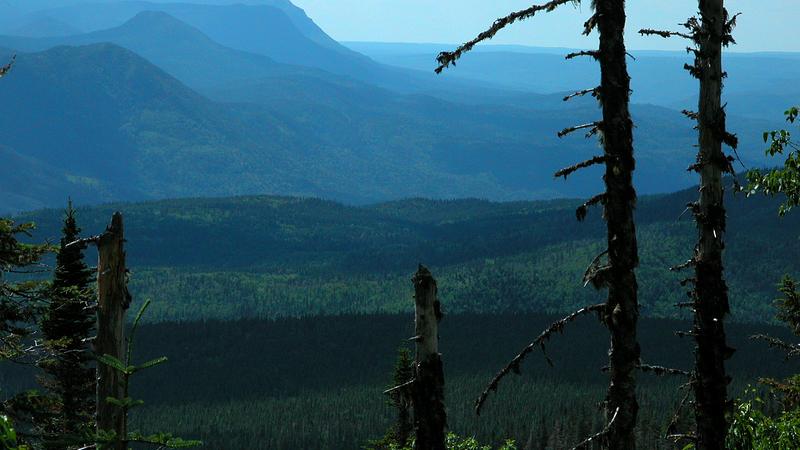 Parue dans : Randonnée du mont Jacques-Cartier au mont Albert