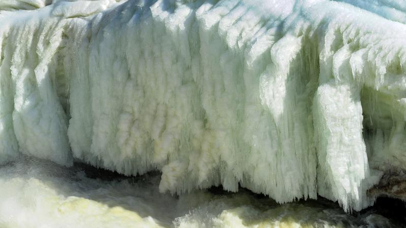 Parue dans : Nature hivernale