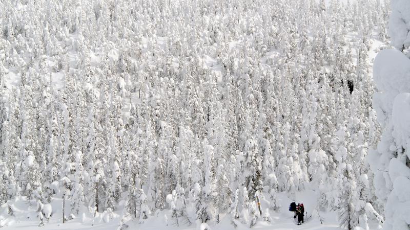 Parue dans : Le fabuleux royaume des Monts-Valin