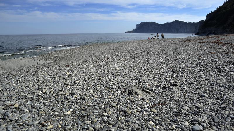Parue dans : Parc national Forillon