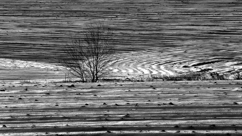 Parue dans : Paysage en noir et blanc