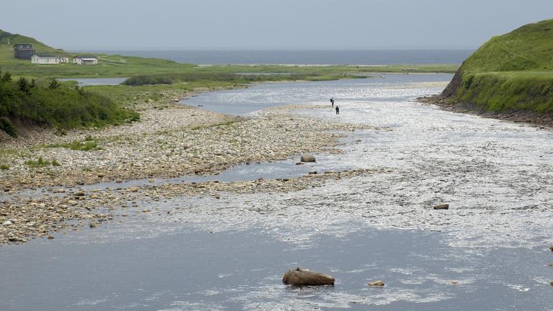 Parue dans : Terre Neuve deuxième voyage