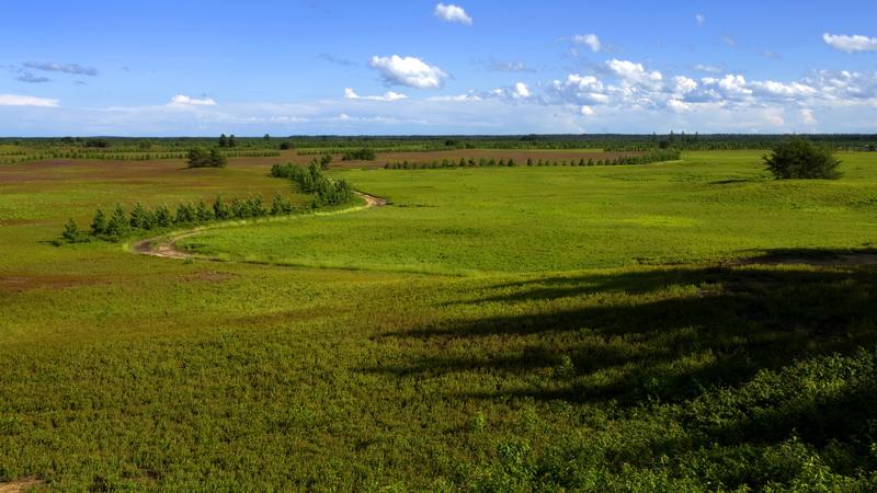 Parue dans : Lac Saint-Jean