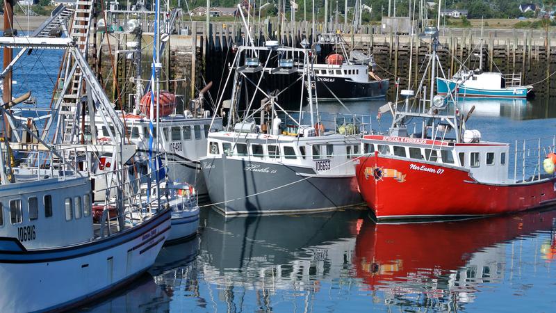 Parue dans : L'île Grand Manan