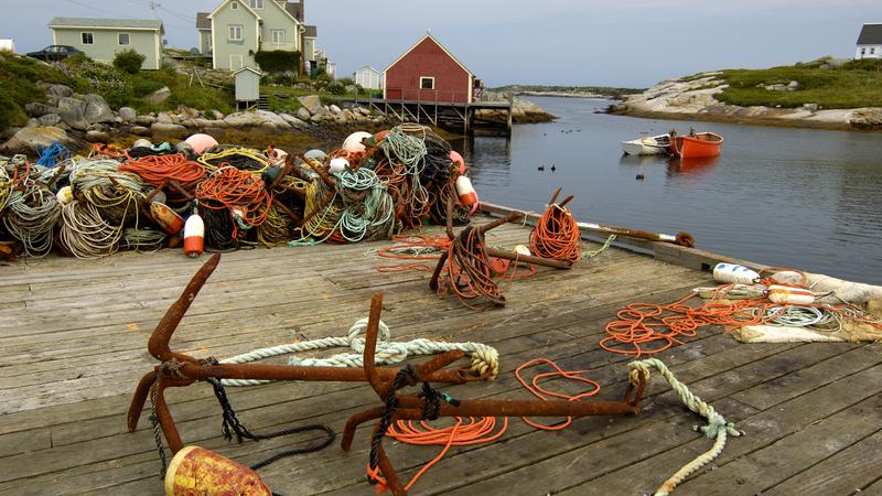 Parue dans : De Digby à Halifax