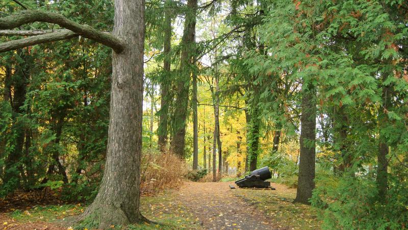 Parue dans : Bois-de-Coulonge