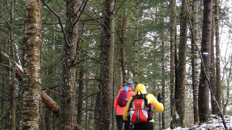 Parue dans : Parc naturel régional de Portneuf