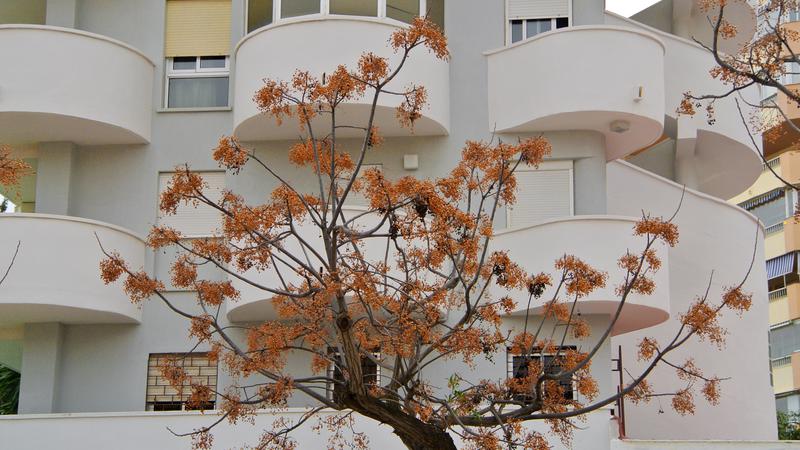Parue dans : Un jardin fleuri