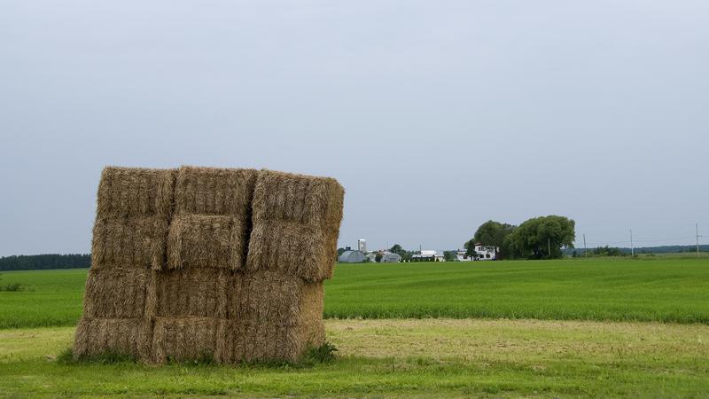 Parue dans : Lac Saint-Jean